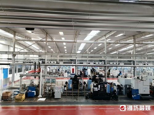 鏈長賦能，數字廣告發布助推昌邑市鏈主企業高質量發展